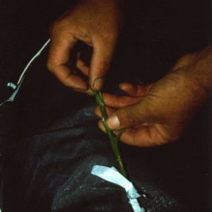 022 Professor Howard Ship Padding 2